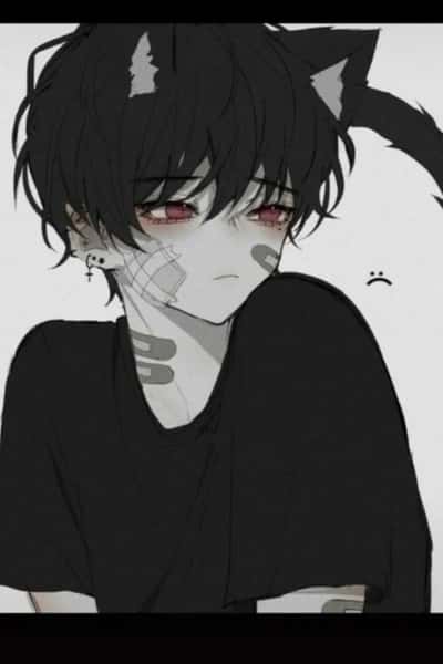 Tomo