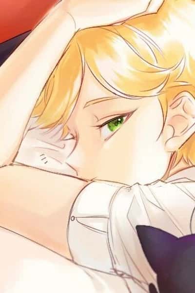 Adrien Agreste