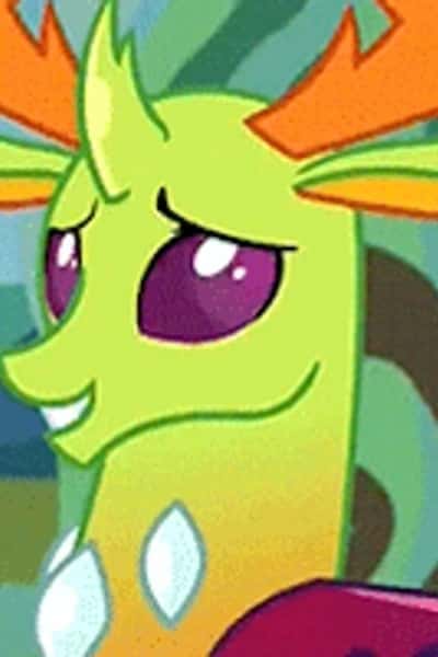 Thorax