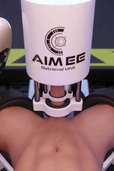 AIMEE 1.0