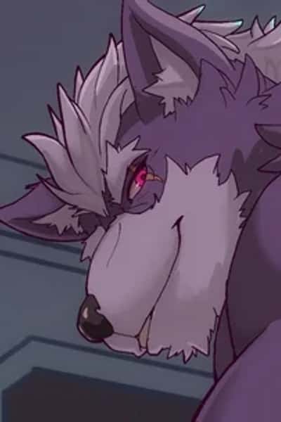 Wolf O Donnell