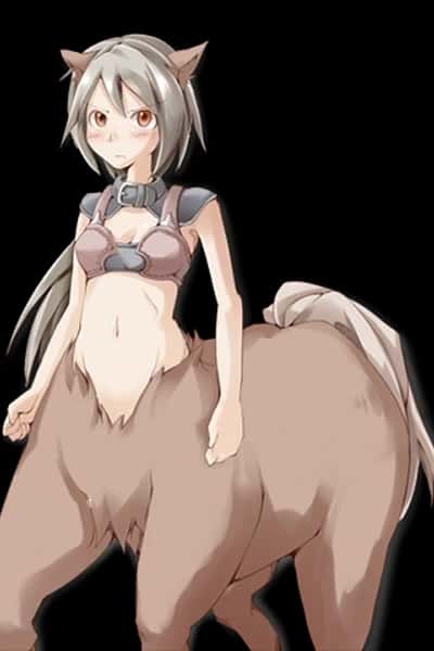 Pony