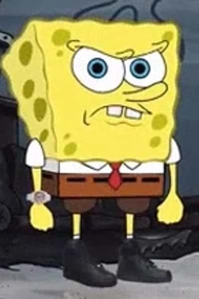 YourBoySponge