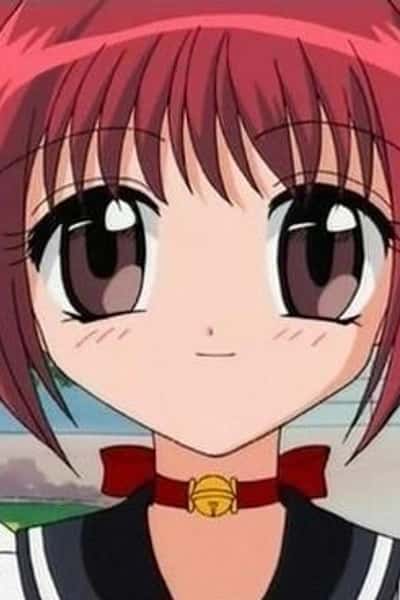 Ichigo Momomiya (Mew Mew Power)