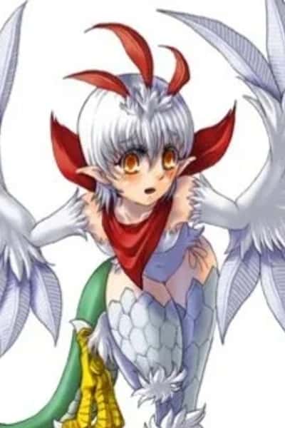 Cockatrice - MGE