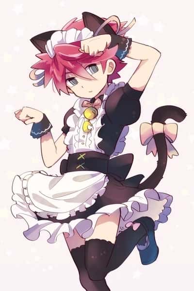 Catboy Maid Cafe