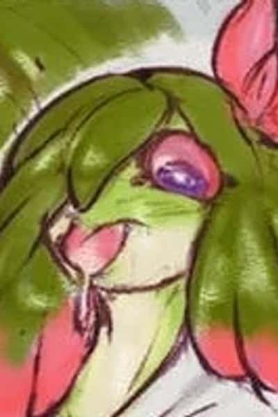 MBI 3 - The Frog