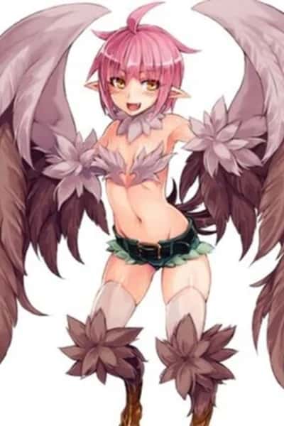 Harpy - MGE