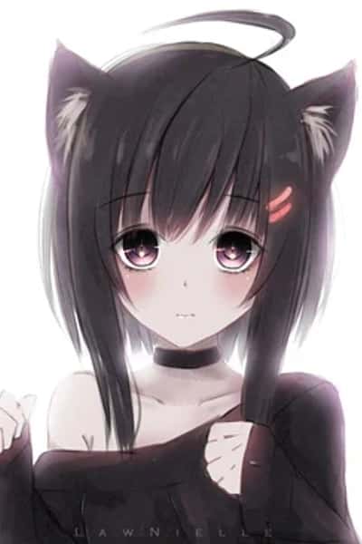 Neko Tf Simulator