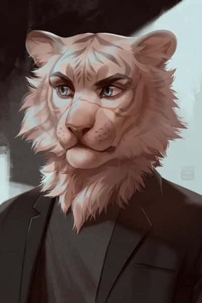 Aiden