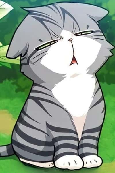 Felidae box