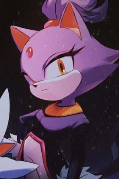 Blaze the Cat