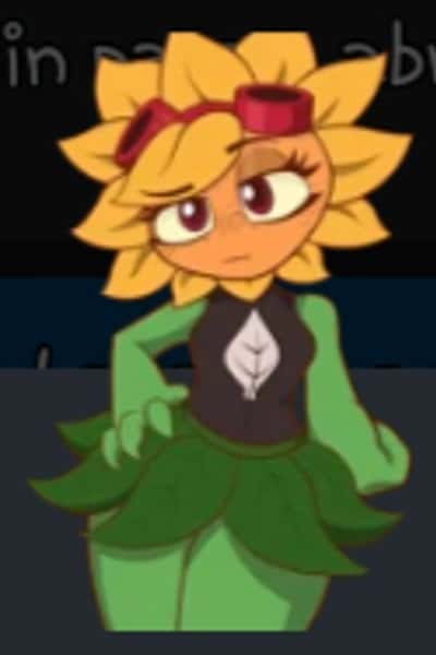 Destello solar